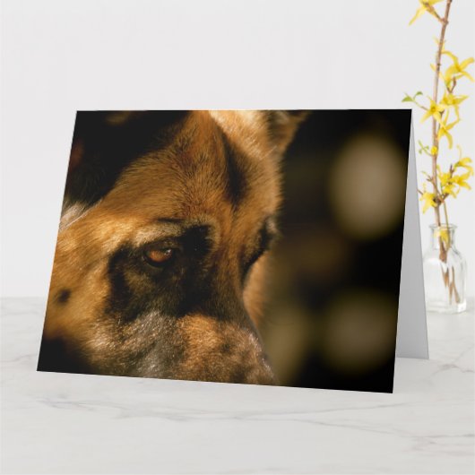 アルザティアンエモーメンション誕生日 カード (黄色い花)