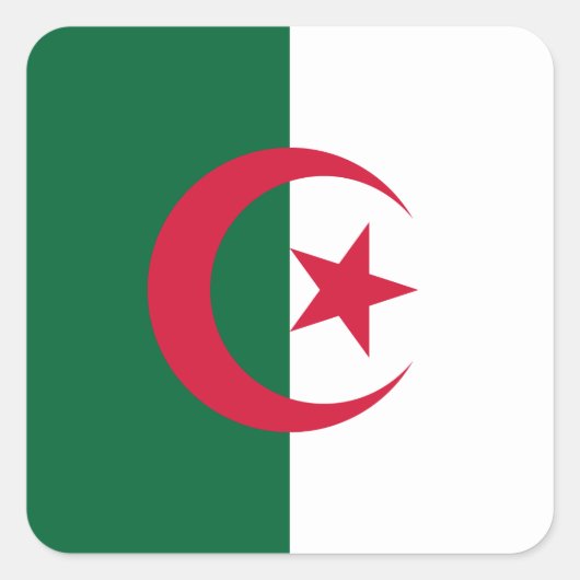 アルジェリア国旗 スクエアシール (正面)