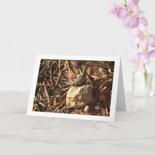 アルジェリア砂レーサー、サモドロムス・アルギラス、リザード カード (蘭)