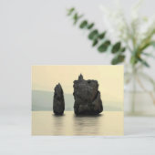 アルジェリア ポストカード (スタンド正面)