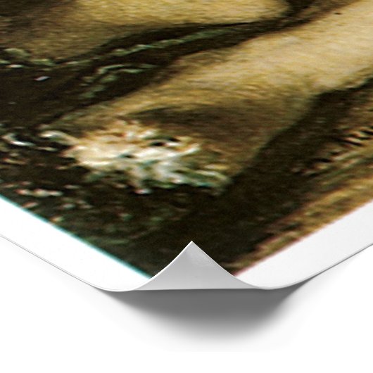 アルジェ1870年ピエール・アグステルノアールの女 ポスター (角)