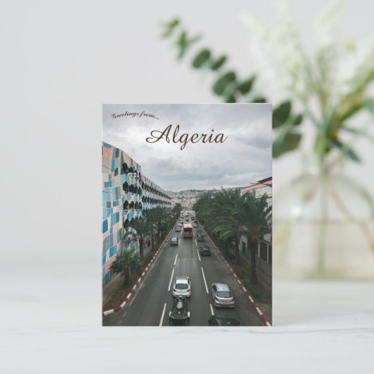 アルジェ・アルジェリアの雨の日 ポストカード (スタンド正面)