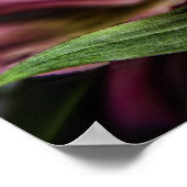 アルストロエメリアペルー百合花のポスタープリント ポスター (角)