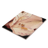 アルストロエメリア開花 タイル (側面)