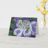 アルストロメリア属 カード (黄色い花)