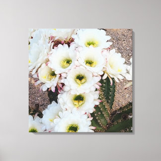 アルゼンチンのサグアーロの花 キャンバスプリント