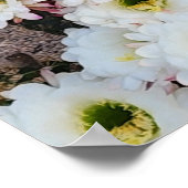 アルゼンチンのサワーロサボテンの花 ポスター (角)