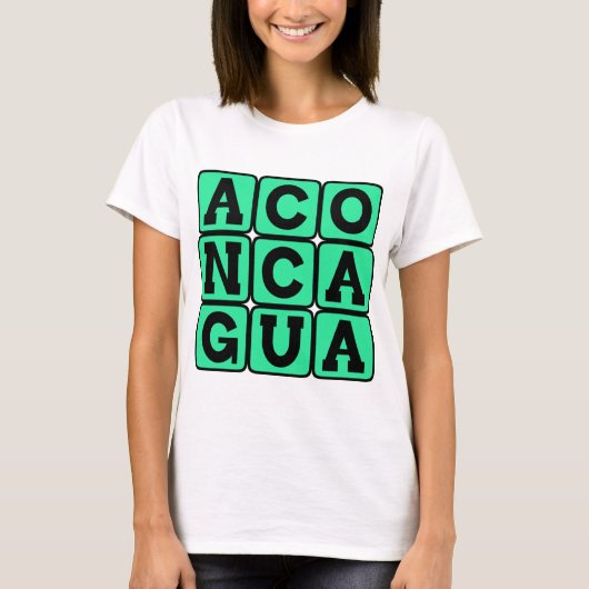 アルゼンチンの山、アコンカグア Tシャツ (正面)