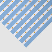 アルゼンチンの旗 薄葉紙 (詳細)