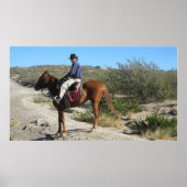 アルゼンチンガウチョ ポスター (正面)