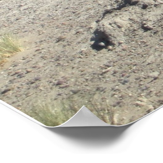 アルゼンチンガウチョ ポスター (角)