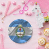 アルゼンチンコート・オブ・アームズ ペーパープレート (パーティー)