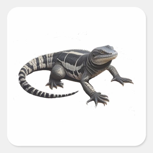 アルゼンチンブラック&ホワイトのテグ スクエアシール (正面)