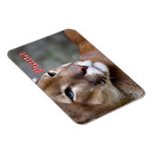 アルゼンチンプーマ –  マグネット (右側)