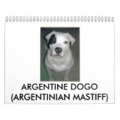 アルゼンチン人Dogo カレンダー (カバー)