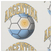 アルゼンチン国旗のサッカーボール ファブリック (クローズアップ)