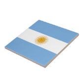 アルゼンチン国旗 タイル (側面)