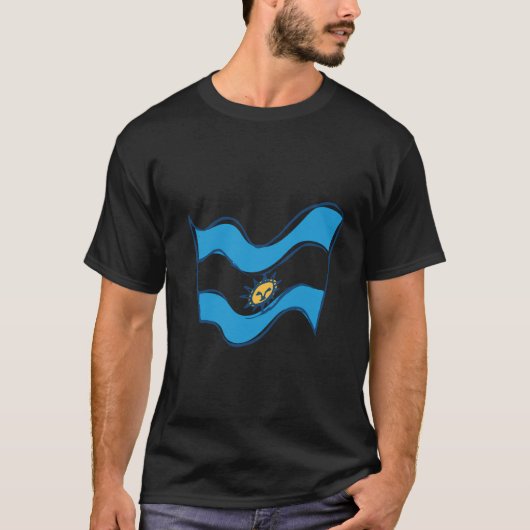 アルゼンチン国旗 Tシャツ (正面)