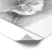 アルゼンチン通り猫 ポスター (角)