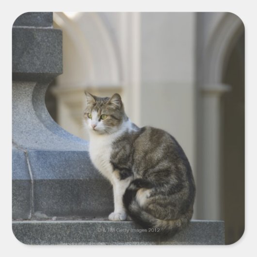 アルゼンチン，コルドバ スクエアシール (正面)