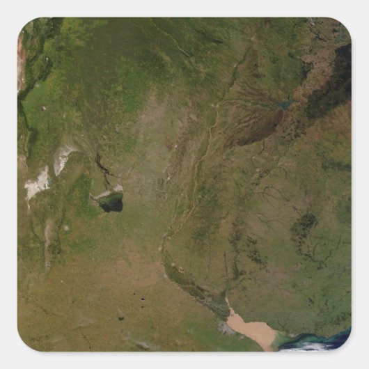 アルゼンチン スクエアシール (正面)