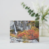 アルゼンチン – パタゴニアの滝はがき ポストカード (スタンド正面)