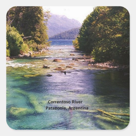 アルゼンチン、パタゴニア スクエアシール (正面)