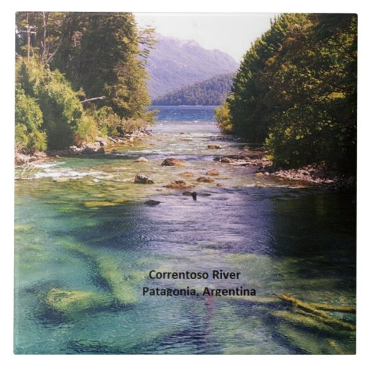 アルゼンチン、パタゴニア タイル (正面)