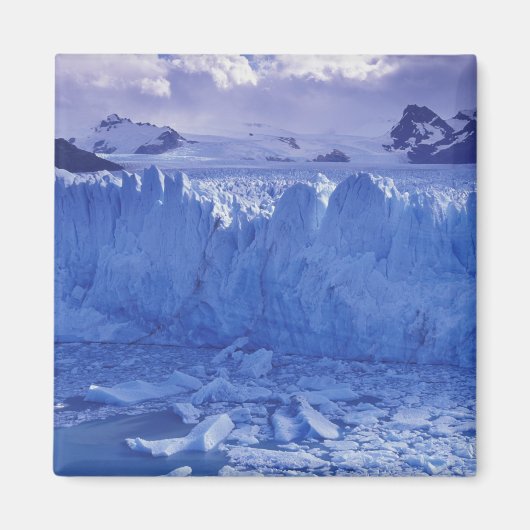 アルゼンチン、パタゴニア、パルケナショナルロス マグネット (正面)