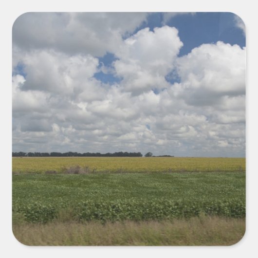 アルゼンチン、ブエノスアイレス、サンアントニオ・デ・アレコ。 スクエアシール (正面)