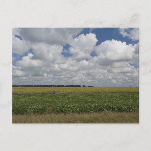 アルゼンチン、ブエノスアイレス、サンアントニオ・デ・アレコ。 ポストカード (正面)