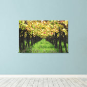 アルゼンチン、メンドーサ、ブドウ畑のブドウの列 キャンバスプリント (インサイチュ (ウッドフロア))