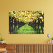 アルゼンチン、メンドーサ、ブドウ畑のブドウの列 キャンバスプリント (インサイチュ (リビング))