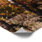 アルゼンチン，メンドーザ秋のブドウ畑 ポスター (角)