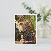 アルゼンチン – ヤグアレ –  ポストカード (スタンド正面)