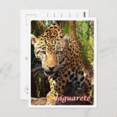 アルゼンチン – ヤグアレ –  ポストカード (正面/裏面)