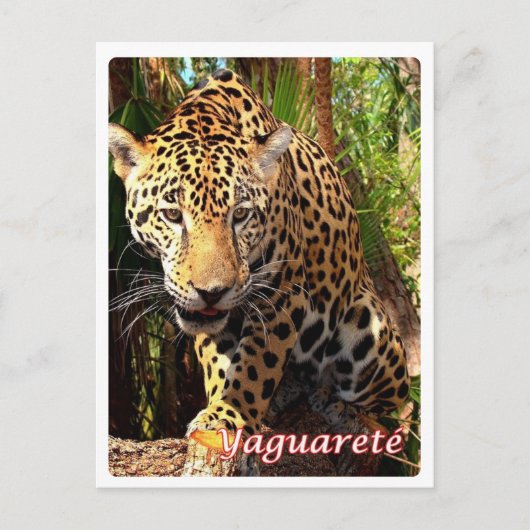 アルゼンチン – ヤグアレ –  ポストカード (正面)