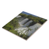 アルゼンチン、太陽の下のイグアス秋。 タイル (側面)