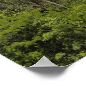 アルゼンチン、太陽の下のイグアス秋。 ポスター (角)