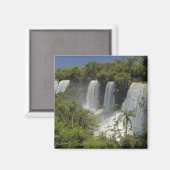 アルゼンチン、太陽の下のイグアス秋。 マグネット (正面/裏面)