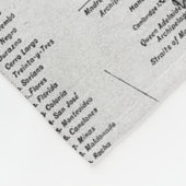 アルゼンチン(1911年)のヴィンテージの地図 フリースブランケット (角)