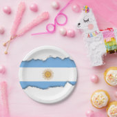 アルゼン伝統的チン国旗 ペーパープレート (パーティー)