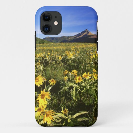 アルソミトラが草原を覆いつくし Case-Mate iPhoneケース (裏面)