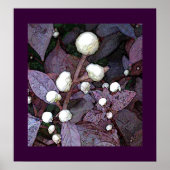 アルタナタ宇宙 ポスター (正面)