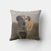 アルタプライベートマイお気に入りのハローカントリーペット クッション (裏面)