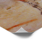 アルタミラホース ポスター (角)