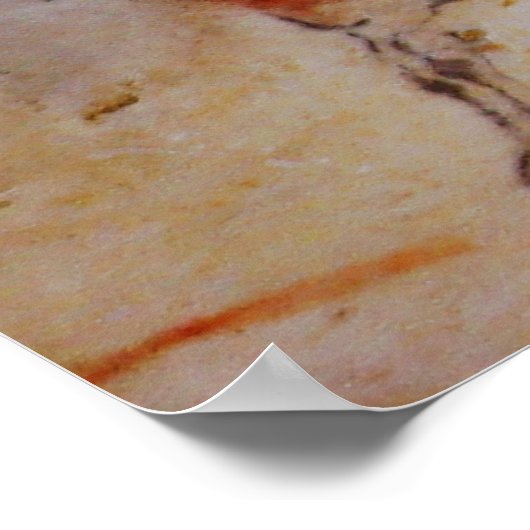 アルタミラホース ポスター (角)