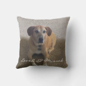 アルタープライベートマイお気に入りのハローペット記念碑 クッション (裏面)