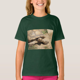 アルダブラアラ Tシャツ