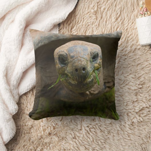 アルダブラ食べ物を与えカメ クッション (ブランケット)